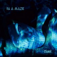 SÆ - In a Maze