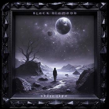 Black DIamond - Still Life