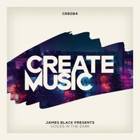 James Black Presents - Voices In The Dark