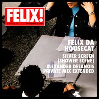 Felix Da Housecat - Silver Screen (Shower Scene) (Alexander Delanois Private Mix Extended)