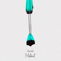 Amentia - Motmot