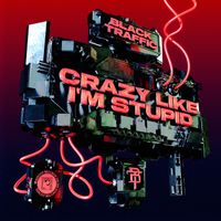 Black Traffic - Crazy Like I’m Stupid