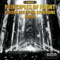 Principles Of Flight - Voxbox (Remix)
