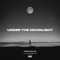 Roman Müller - under the moonlight