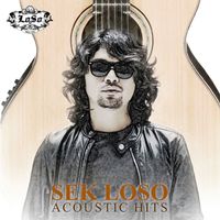 เสก โลโซ - Sek Loso Acoustic Hits