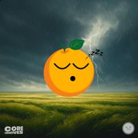 Sleepy Orange - Endless Rain