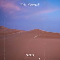 STEG - This Moment
