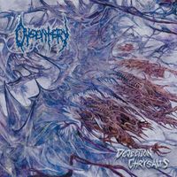 Dysentery - Dejection Chrysalis (Explicit)