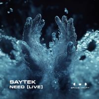 Saytek - Need (Live)