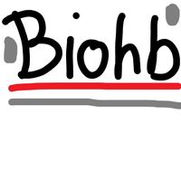 BiohB - fo hiho (Explicit)
