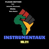 PLEASE MOTHER - instrumentaux vol.211