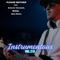 PLEASE MOTHER - instrumentaux vol.213