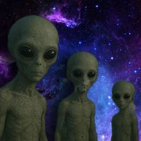 skully - grieft