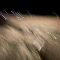 Project - Do You Freestyle (Explicit)