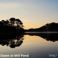 Strong T - Dawn at Mill Pond