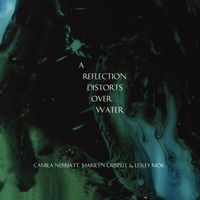 Camila Nebbia - a reflection distorts over water