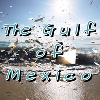 LG Project - The Gulf of Mexico