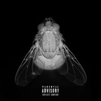 ROACHES - FLY ON THE WALL (Explicit)