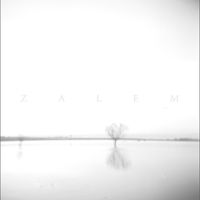 ZALEM - demo