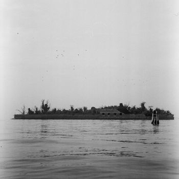 Ashinoa - Un'altra Forma