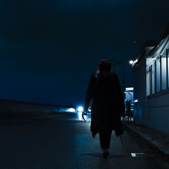 Winterland - Nightwalker