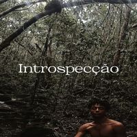 Digo - Introspecção (Explicit)