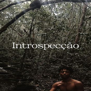 Digo - Introspecção (Explicit)