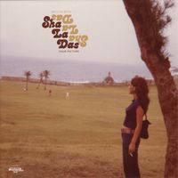 The Sha La Das - Stop Using My Love