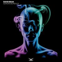 David Bean - Aurora Borealis