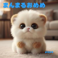 yoyo - まんまるおめめ