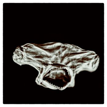 CLONE - Galvanized