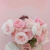 Florin - How Beautiful