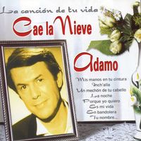 Adamo - Cae la Nieve : La Cancion de Tu Vida