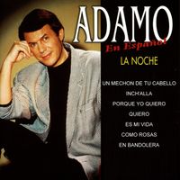 Adamo - Adamo en Español : La Noche y Otros Éxitos