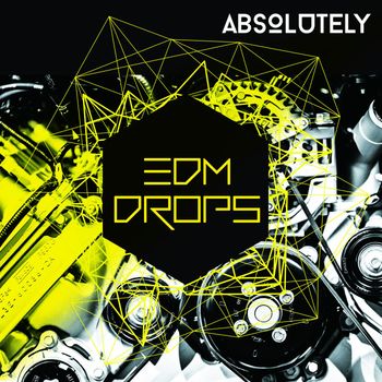 Various Artists - Absolutely edm drops