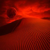 dmitry.rx - mushr00m.jump