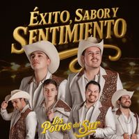 Los Potros Del Sur - Éxito, Sabor y Sentimiento