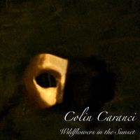 Colin Caranci - Wildflowers in the Sunset