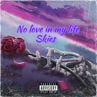 SKIES - No Love In My Life (Explicit)