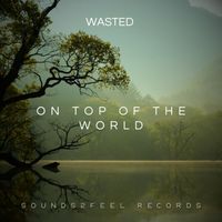 Wasted - On Top Of The World