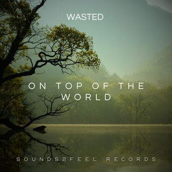 Wasted - On Top Of The World