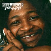 Screwdriver - Journey of Life