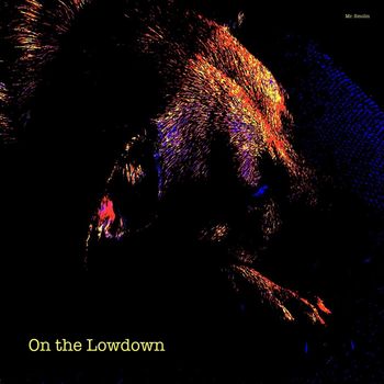 Mr. Smolin - On the Lowdown