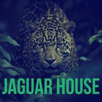 Wasabi - Jaguar House