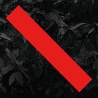 Kreisky - Adieu Unsterblichkeit