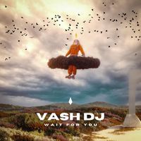 Vash DJ - Wait For You