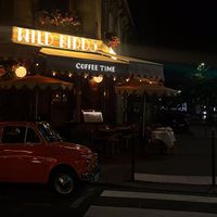 Coffee Time - Wild Birds