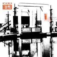 Fini Tribe - We're Interested (Peel Session)