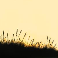 Aura - Heal the Heart