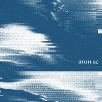 Aron SC - Taking Shape